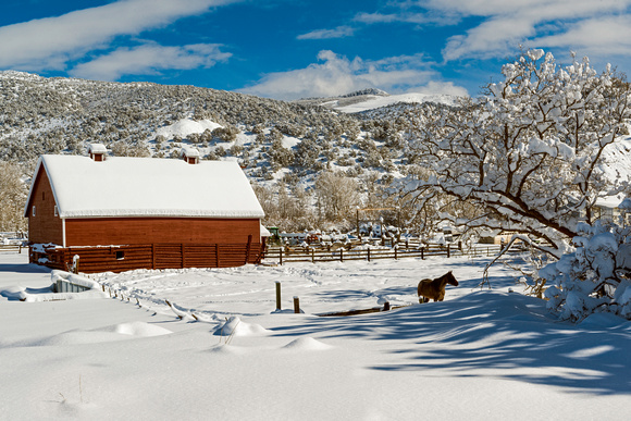 Colorado Snowstorm - 2014