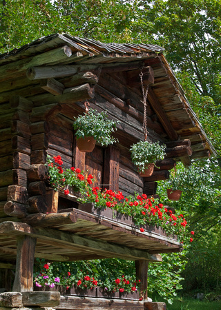 Swiss Cabin - Village of Murren
