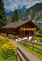 Swiss Home with Flowers