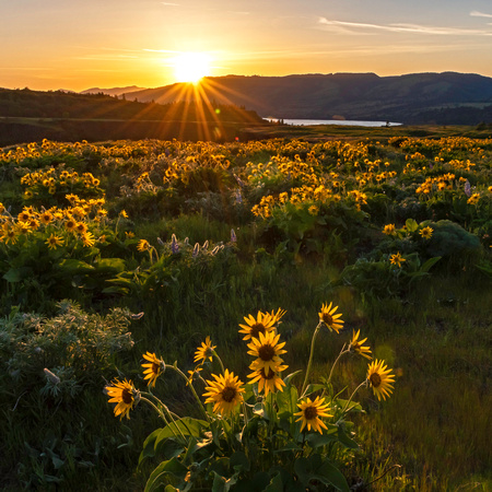 Spring Sunset, Columbia River Gorge, Oregon
