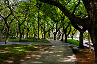 Buenos Aires Park