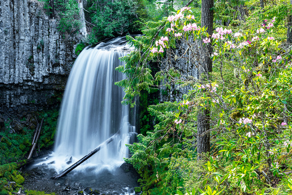 Warm Springs Falls - Oregon