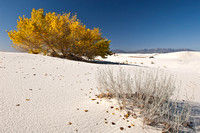 White Sands National Monument