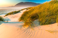 Nehalem Beach Sunset